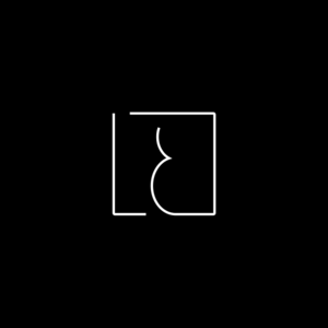 Laurent Bayot Toulouse, Graphiste